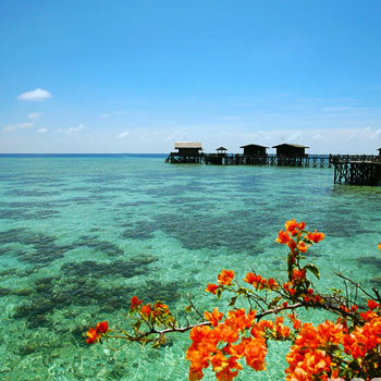 海島游