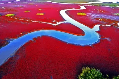 北旅田園·黑風(fēng)關(guān)古鎮(zhèn)+紅海灘汽車兩日游