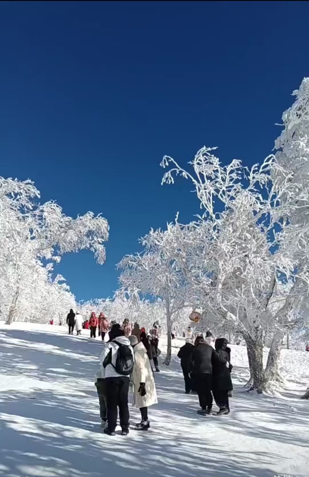 雪鄉(xiāng)純玩兩日游